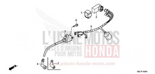 WIRE HARNESS CRF50FH de 2017
